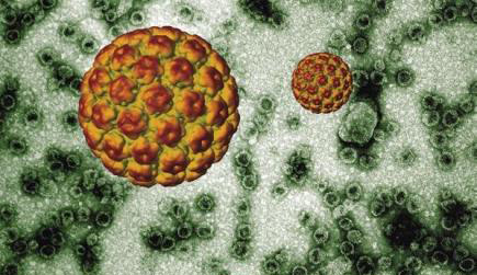 HPV